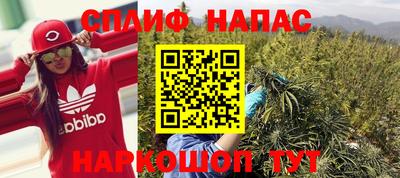 прущие крисы Малгобек