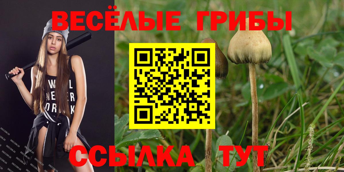 Галлюциногенные грибы мухоморы  Псилоцибиновые грибы GOLDEN TEACHER  Озёры  Вход с VPN 